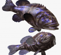 wooden fish 3D Models to Print - yeggi
