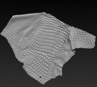 lizard skin 3D Models to Print - yeggi