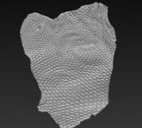 lizard skin 3D Models to Print - yeggi