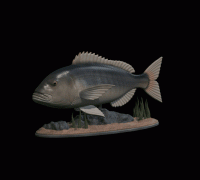 trophy fishing trout 3D Models to Print - yeggi