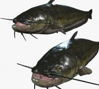 catfish fishing 3D Models to Print - yeggi