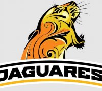 jacksonville jaguars logo 3D Models to Print - yeggi